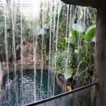 Tropical World Waterfall